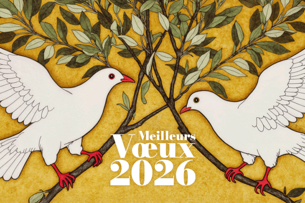 Nos voeux pour 2026 : Créer des marques humaines et conscientes