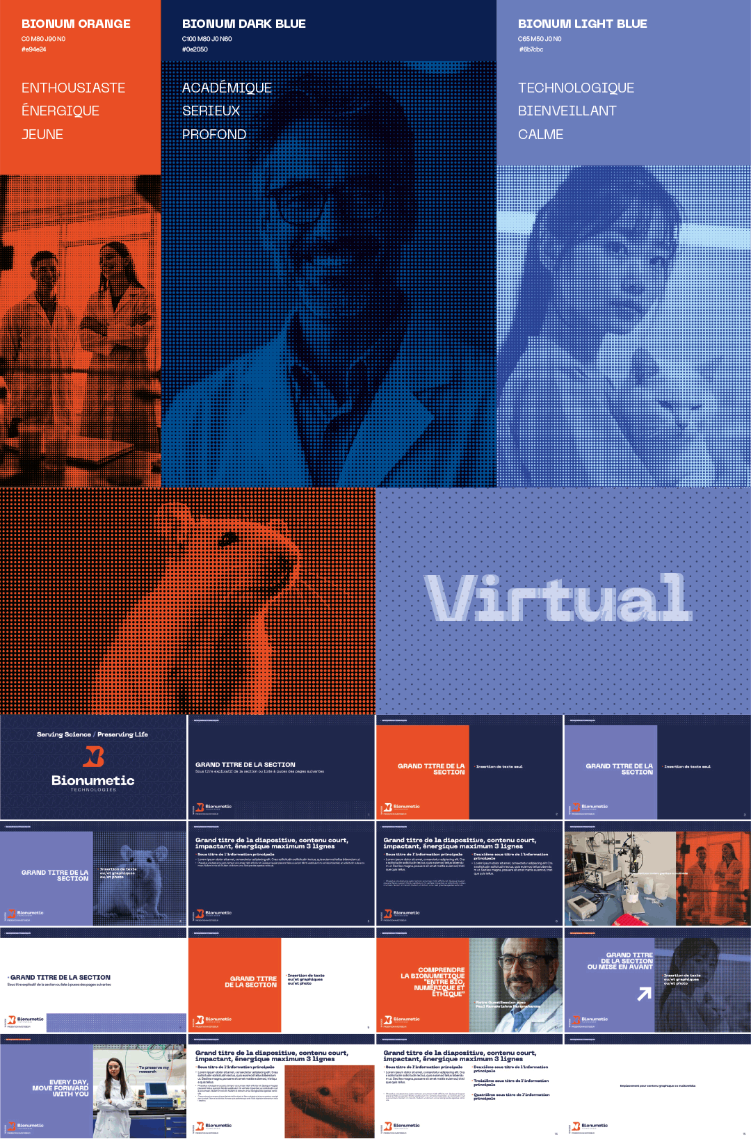 Naming, branding et communication investisseurs Bionumetic - Extrait de la charte graphique 