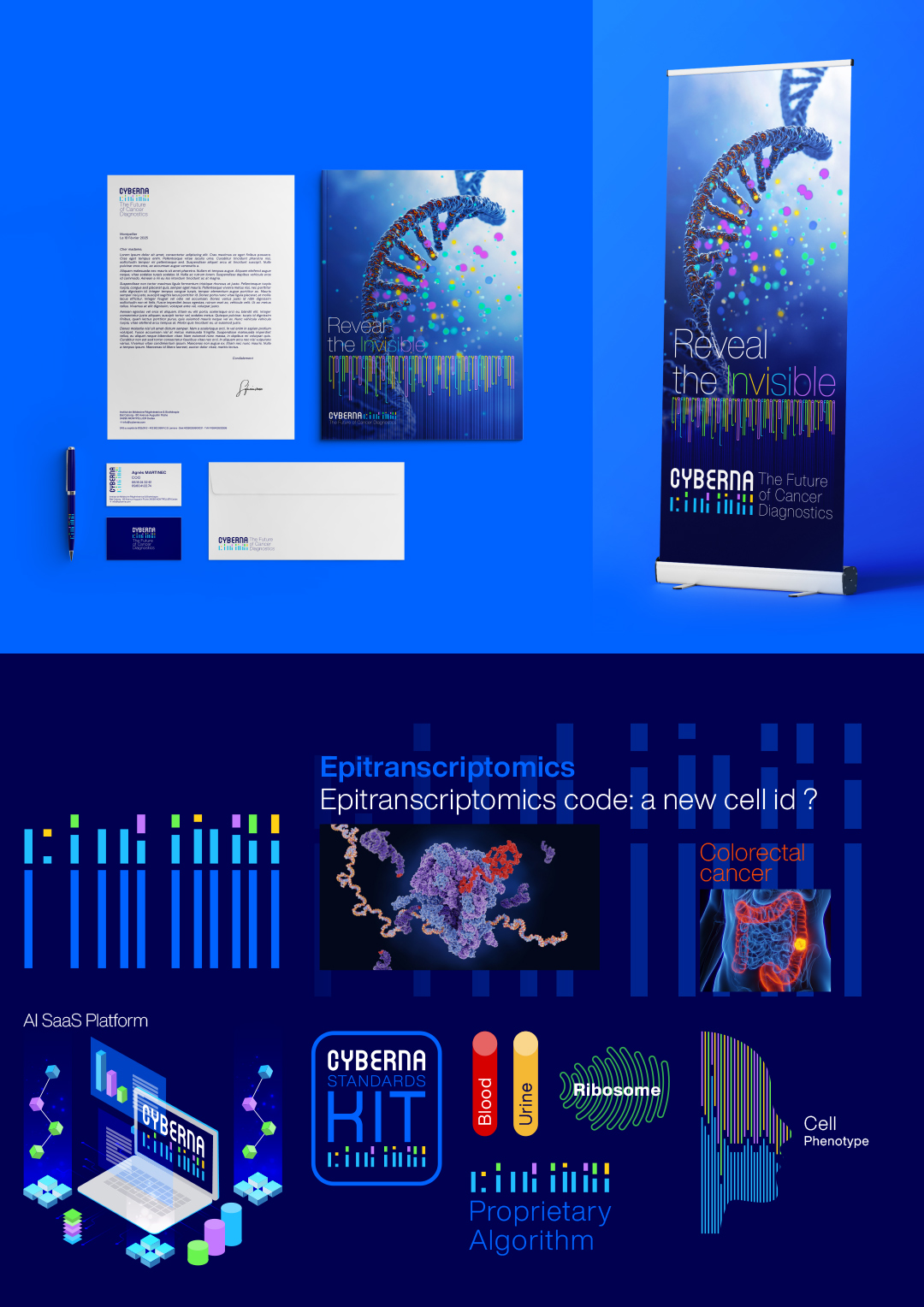 Rebranding de la biotech Cyberna - Extrait de la charte graphique