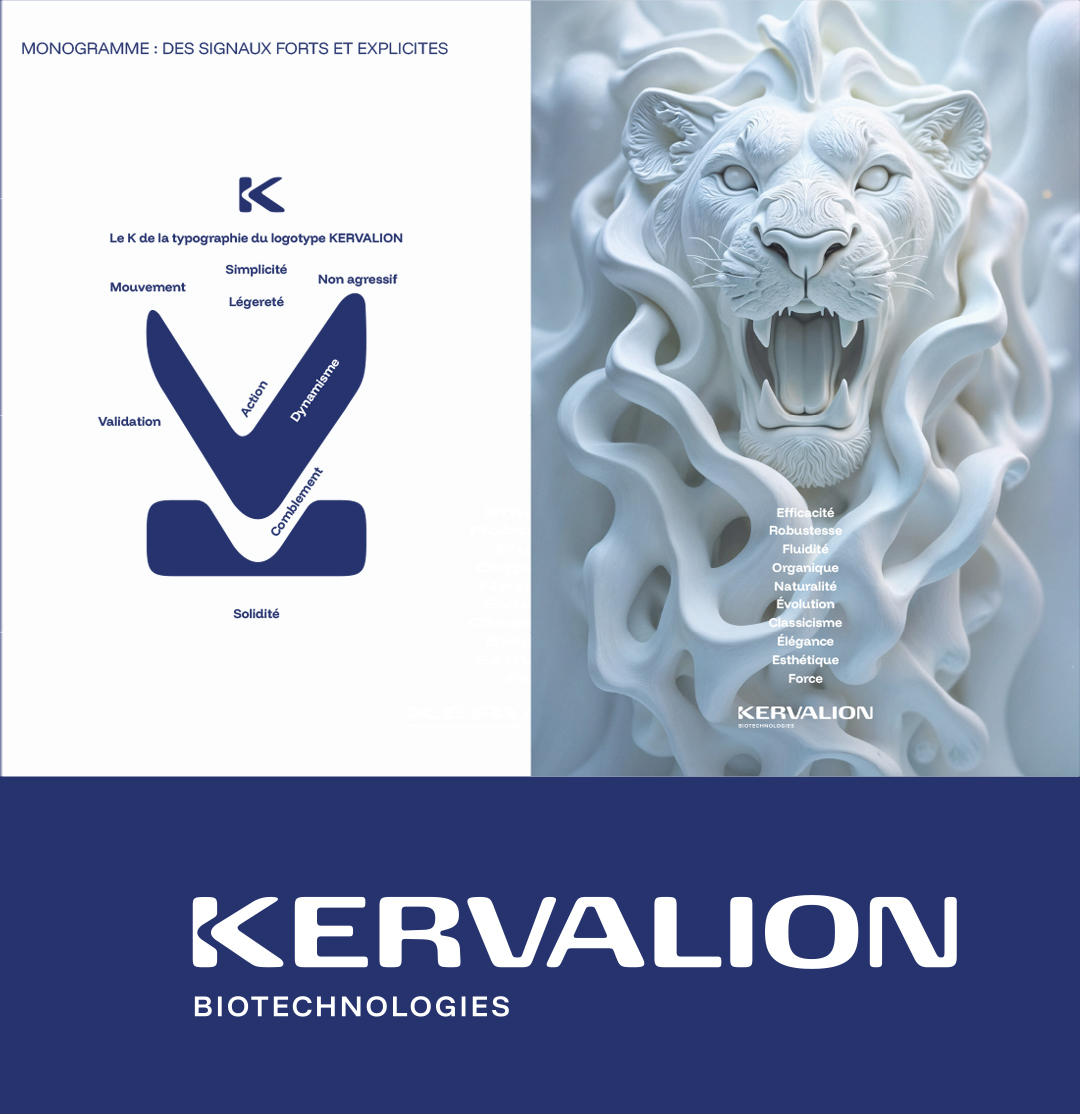 Nommage, création de l'identité visuelle de la startup Kervalion - Extrait