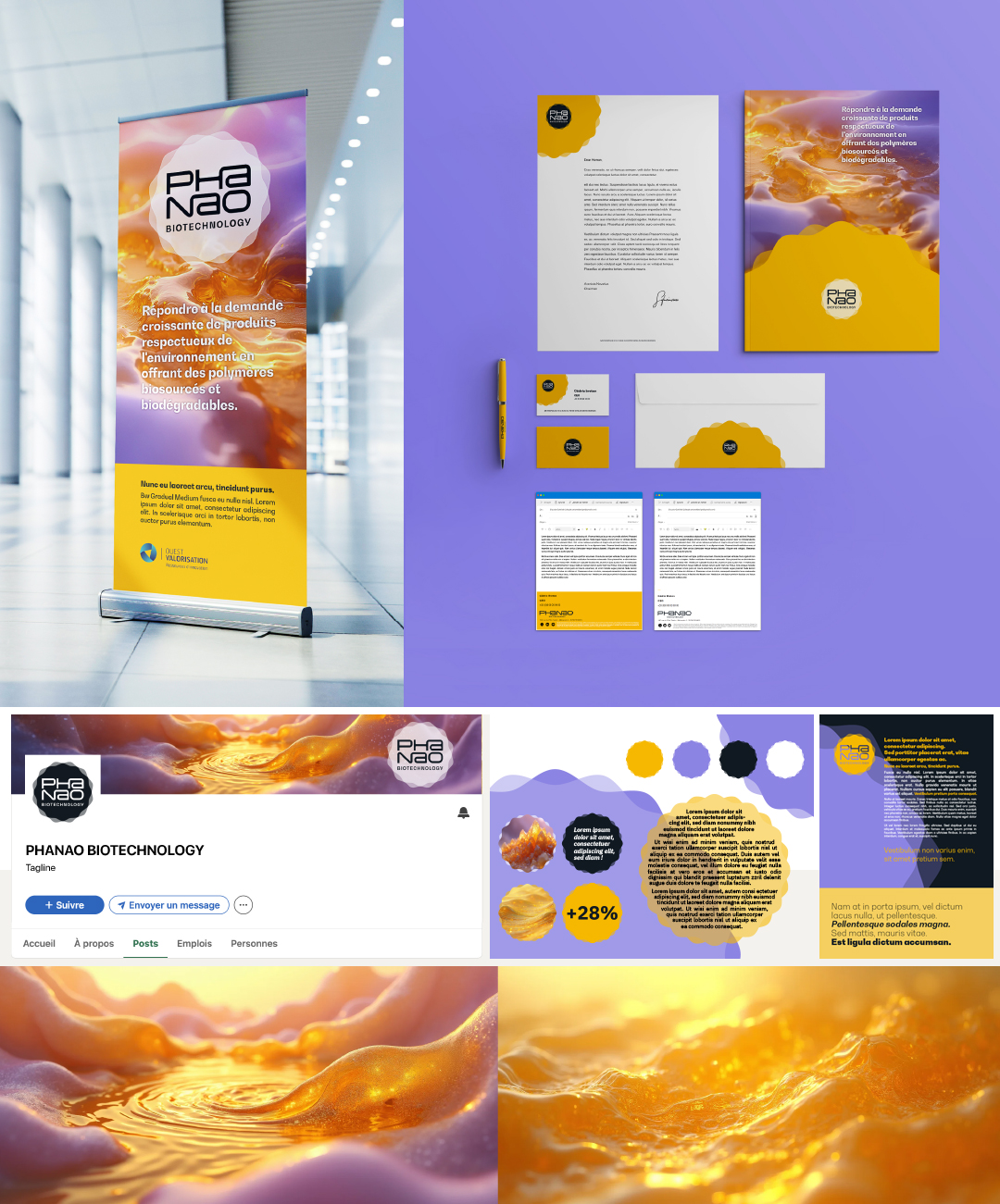 Identité visuelle Phanao - Extrait de la charte graphique