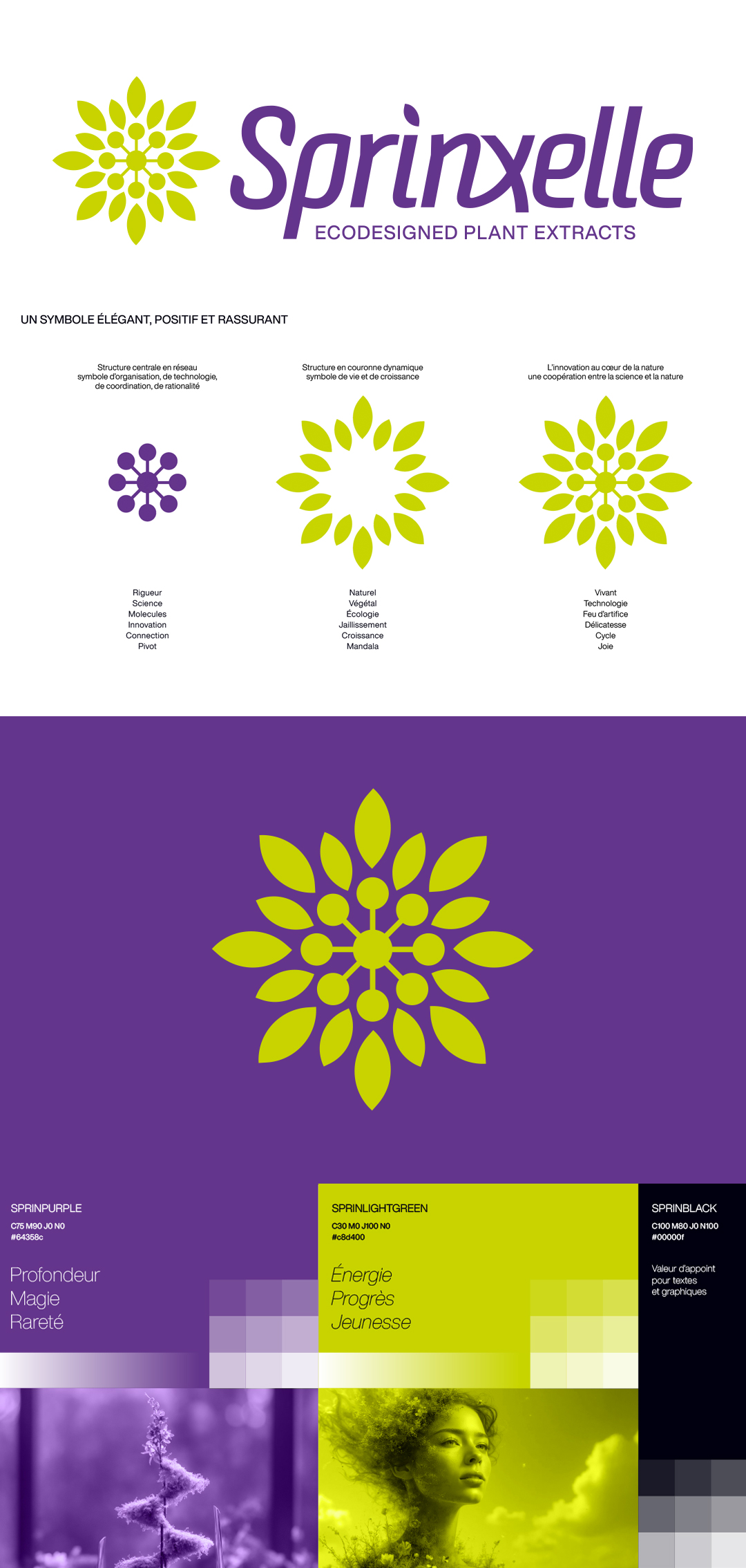 Sprinxelle - Nommage et identité de marque - Extrait de la charte graphique